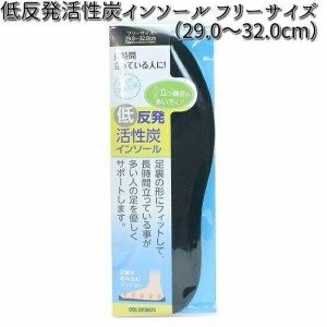 COLUMBUS コロンブス 低反発活性炭 インソール(中敷き) フリーサイズ（29.0〜32cm）【お取り寄せ製品】【中敷 インソール】