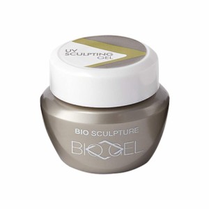 Bio Sculpture(バイオスカルプチュア) BioSculpture スカルプティングジェルN2 4.5g ジェルネイル