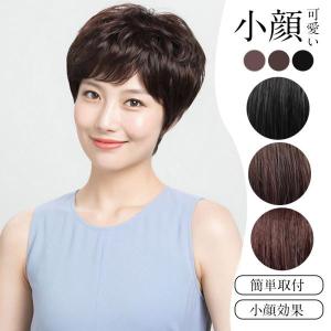 白髪ミックス フルウィッグ ウィッグ ショート パーマ カール