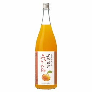 世界一統 和歌のめぐみ 有田のみかん酒 1.8Ｌ瓶 1800ml×6本 和歌山 u-yu