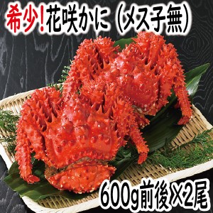 花咲ガニ　かに　蟹　カニ　花咲かに(メス子無) 600ｇ前後×2尾　北海道産　送料無料