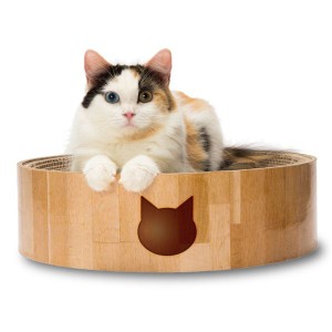 （まとめ）猫壱 バリバリボウル 猫柄（ペット用品）【×5セット】