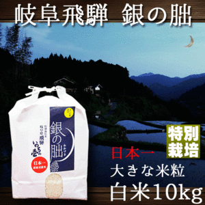 新米 銀の朏 岐阜県飛騨 いのちの壱 10kg 特別栽培米 ぎんのみかづき 10/下旬頃より出荷予定