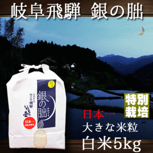 新米 銀の朏 岐阜県飛騨 いのちの壱 5kg 特別栽培米 ぎんのみかづき 10/下旬頃より出荷予定