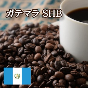 【特価 ２ｋｇ】ガテマラ SHB 焙煎 コーヒー豆 ２ｋｇ（１ｋｇ×２袋） ニシナ屋珈琲 焙煎 コーヒー コーヒー豆 お得 高級 コーヒー 業務