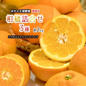 柑橘 訳あり 3種 詰め合わせ 福袋 愛媛県産 箱買い 約2ｋｇ 送料無料