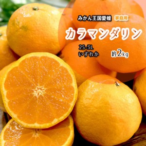 カラマンダリン 家庭用 母の日 温州みかん 春みかん 愛媛県産 2S〜3L 約 2ｋｇ 送料無料