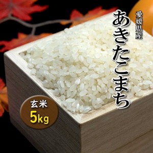 あきたこまち 愛媛県産 新米 2023年 玄米 精米可 約5kg 送料無料