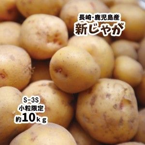 新じゃが じゃがいも 長崎県 鹿児島県 芋 いも 約10ｋｇ 送料無料 S-3S 小粒 男爵 とうや とよしろ他