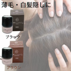 ブラック ヘアシャドウ薄毛 丸けれ 白髪 薄毛隠し 生え際 隠し パウダー