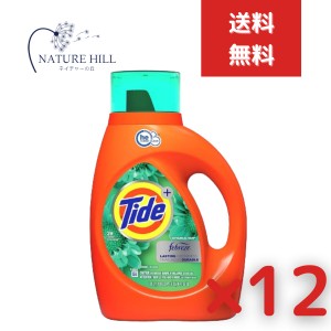 タイド プラス ファブリーズ ボタニカルレイン 1360ml 12個セット 【タイド(Tide)】　タイド 洗剤 洗濯洗剤 全自動洗濯機 ドラム式洗濯機