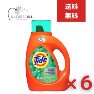 タイド プラス ファブリーズ ボタニカルレイン 1360ml 6個セット 【タイド(Tide)】　タイド 洗剤 洗濯洗剤 全自動洗濯機 ドラム式洗濯機 