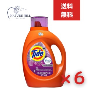 タイド リキッド +ファブリーズ スプリング リニューアル 2720ml 6個セット　洗濯洗剤 海外洗剤 ランドリー（2.72L 衣類用洗剤 大容量 海