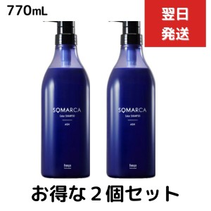 ２個セット　ホーユー ソマルカ カラーシャンプー アッシュ 770ml hoyu 業務用 染まる 