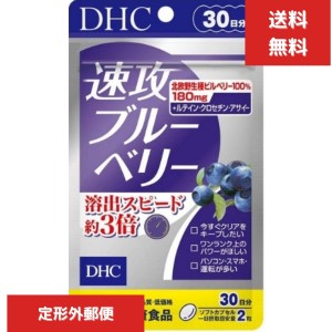 DHC 速攻ブルーベリー 30日分 60粒 ビタミン サプリメント 食事 健康 健康食品 パソコン 長時間 車の運転 画面 目 眼 眼精疲労