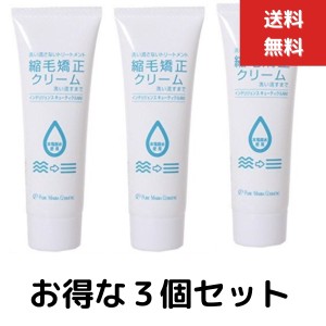 ３本セット　縮毛矯正クリーム 120g サロン専売品 サロンプロ　プロ用美容室専門店 プチギフト クリスマス ギフト