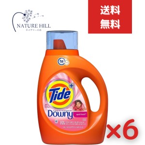 タイド リキッド タッチオブダウニー エイプリル 1360ml 6個セット 0037000874720 衣類用洗剤 P＆G