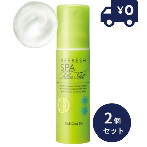 江原道 オールインワン リフレッシュ ジェル 100g 2個セット スキンケア 保湿 混合肌 時短 メンズ Koh Gen Do こうげんどう　オールイン