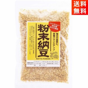 粉末納豆 40g×1袋 乾燥 ドライ 納豆菌 信州物産