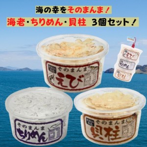 オカベ そのまんまセット 10g×3個 えび ちりめん 貝柱 珍味 おやつ おつまみ