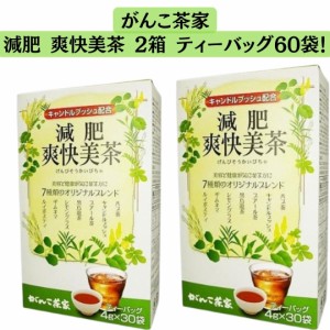 がんこ茶家 減肥爽快美茶 2箱 ティーバッグ 4g×60袋