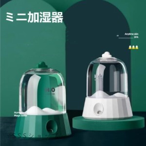 加湿器 ミニ加湿器 卓上加湿器 USB 空気清浄機 小夜灯霧化器 静音霧量 可愛い車載 家庭 寝室 大容量