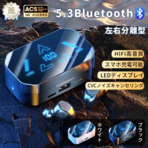 イヤホン ワイヤレスイヤホン Bluetooth 5.3 LED電量表示 挟んで装着 快適 自動ペアリング 瞬間接続 Hi-Fi高音質 スマホ充電可能