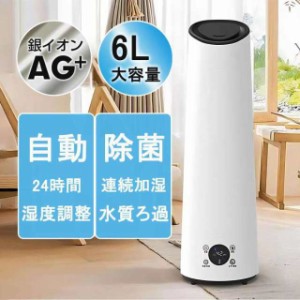 加湿器 スチーム式 小型 自動湿度調整 AG銀イオン除菌 24時間連続加湿 タワー型加湿器 大容量6L 超音波式 アロマ加湿器 省エネ 静音 脱臭