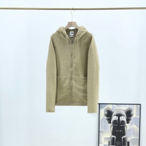 The Face North   Lyman Fleece ラムズウール暖かいフード付きジャケット