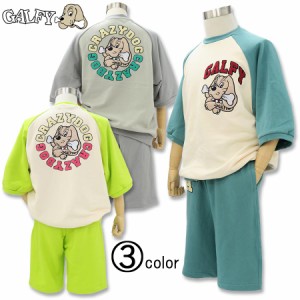 ガルフィー 半袖トレーナー ハーフパンツ セットアップ L XL 色激渋 ヤンキー かわいい かっこいい メンズ レディース 男女兼用 ユニセッ