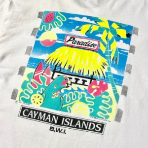 90年代 USA製 CAYMAN ISLANDS アート スーベニア プリントTシャツ メンズL 【古着】【中古】
