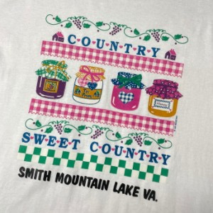 90年代 SMITH MOUNTAIN LAKE VA スーベニア アート プリント Tシャツ メンズXL 【古着】【中古】