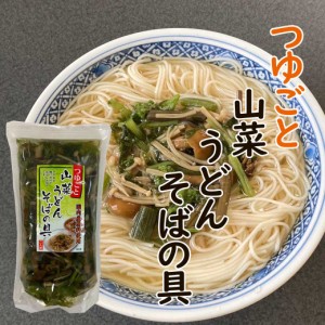 国産 山菜うどん・そばの具 400g 二人前 具入りつゆ ストレート 山菜 山人参 「ヒュウガトウキ 葉茎100％使用」