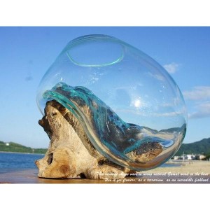 吹きガラスと天然木のオブジェ XSP18 金魚鉢 メダカ水槽 花瓶 流木ガラス ガラス鉢 プランター 花瓶 アクアリウム ガラスボウル テラリウ