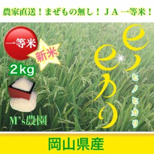 精米 ひのひかり 令和６年産 農家直詰 お米 (2kg)