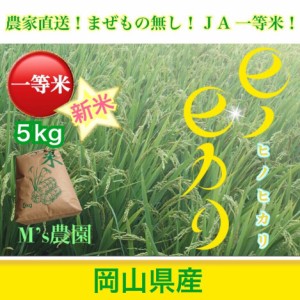 精米 ひのひかり 令和6年産 農家直詰 お米 (5kg)