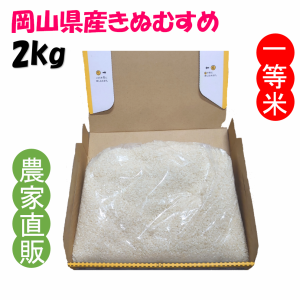 精米 きぬむすめ 令和6年産 農家直詰 お米 (2kg)
