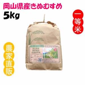 精米 きぬむすめ 令和6年産 農家直詰 お米 (5kg)