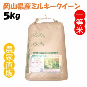 精米 ミルキークイーン 令和6年産 農家直詰 お米 (5kg)