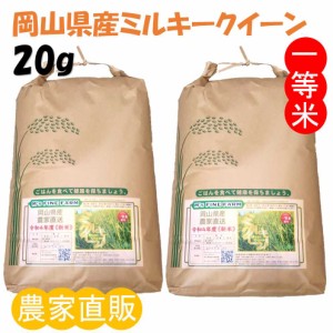 精米 ミルキークイーン 令和6年産 農家直詰 お米 (20kg)
