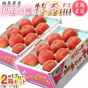 新発売！予約開始！【送料無料】【産地直送】福島産 伊達の 桃 特秀品 約3.4kg 14〜18玉入り (約1.7kg×2箱)「福島産もも3.4kg」JAふくし