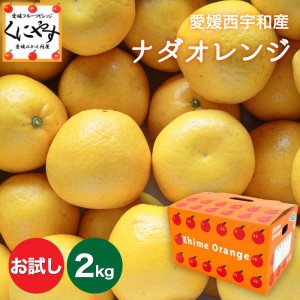 ★こだわり農家さん限定！ブランド柑橘★＼創業84年 愛媛みかん の老舗／【送料無料】【ギフト】【産地直送】愛媛西宇和産 ナダオレンジ 