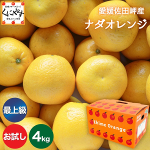 ★こだわり農家さん限定！最上級ブランド★予約開始！＼創業84年 愛媛みかん の老舗／【送料無料】【ギフト】【産地直送】愛媛佐田岬産 