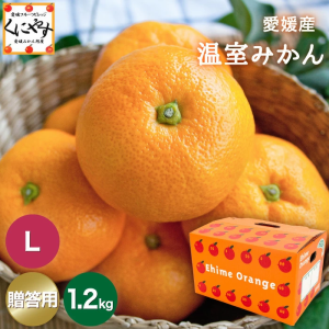 本日予約開始！7月上旬〜中旬発送予定＼創業84年 愛媛みかん の老舗／【送料無料】【お中元】【贈答品】【ギフト】【産地直送】愛媛産 温