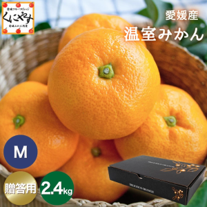 本日予約開始！7月上旬〜中旬発送予定＼創業84年 愛媛みかん の老舗／【送料無料】【お中元】【贈答品】【ギフト】【産地直送】愛媛産 温