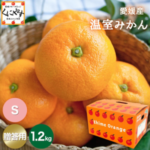 本日予約開始！7月上旬〜中旬発送予定＼創業84年 愛媛みかん の老舗／【送料無料】【お中元】【贈答品】【ギフト】【産地直送】愛媛産 温