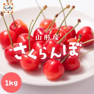 ＼ 新商品！期間限定販売（6/10 23:59 まで）！／★たくさんの山形愛を込めた赤い宝石★【送料無料】【産地直送】山形産 さくらんぼ 佐藤