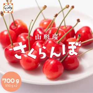 ＼ 新商品！期間限定販売（6/10 23:59 まで）！／★たくさんの山形愛を込めた赤い宝石★【送料無料】【産地直送】山形産 さくらんぼ 佐藤