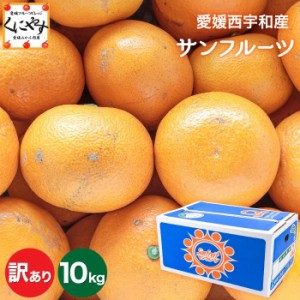 【送料無料】【訳あり】愛媛西宇和産サンフルーツ (新甘夏) 訳あり10kg(5kg×2箱)  マーマレードやピール作りにも！「訳ありサンフルーツ