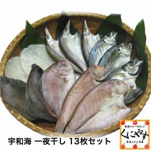 【送料無料】【ギフト】【産地直送】【天然魚】宇和海朝獲れ鮮魚の「一夜干し13枚セット」【鮮度抜群CAS冷凍品】（真鯛1枚、メイタカレイ